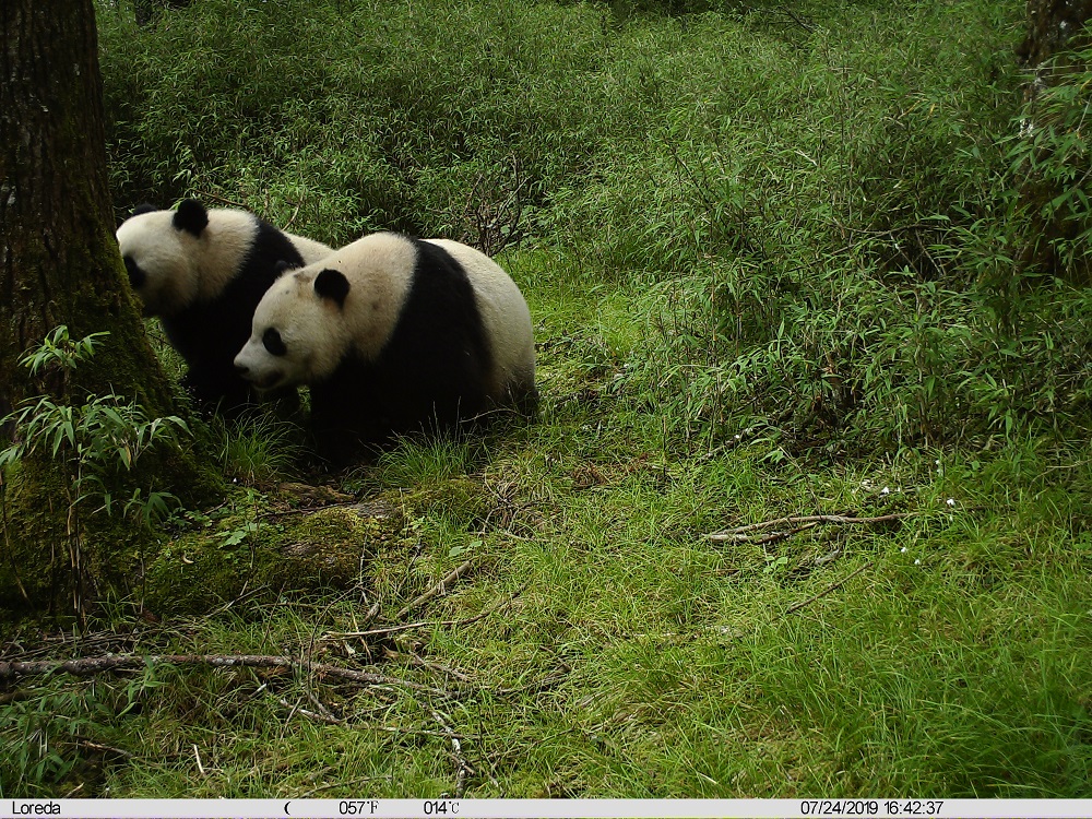 微信图片_20191217114211.jpg?x-oss-process=style/w10