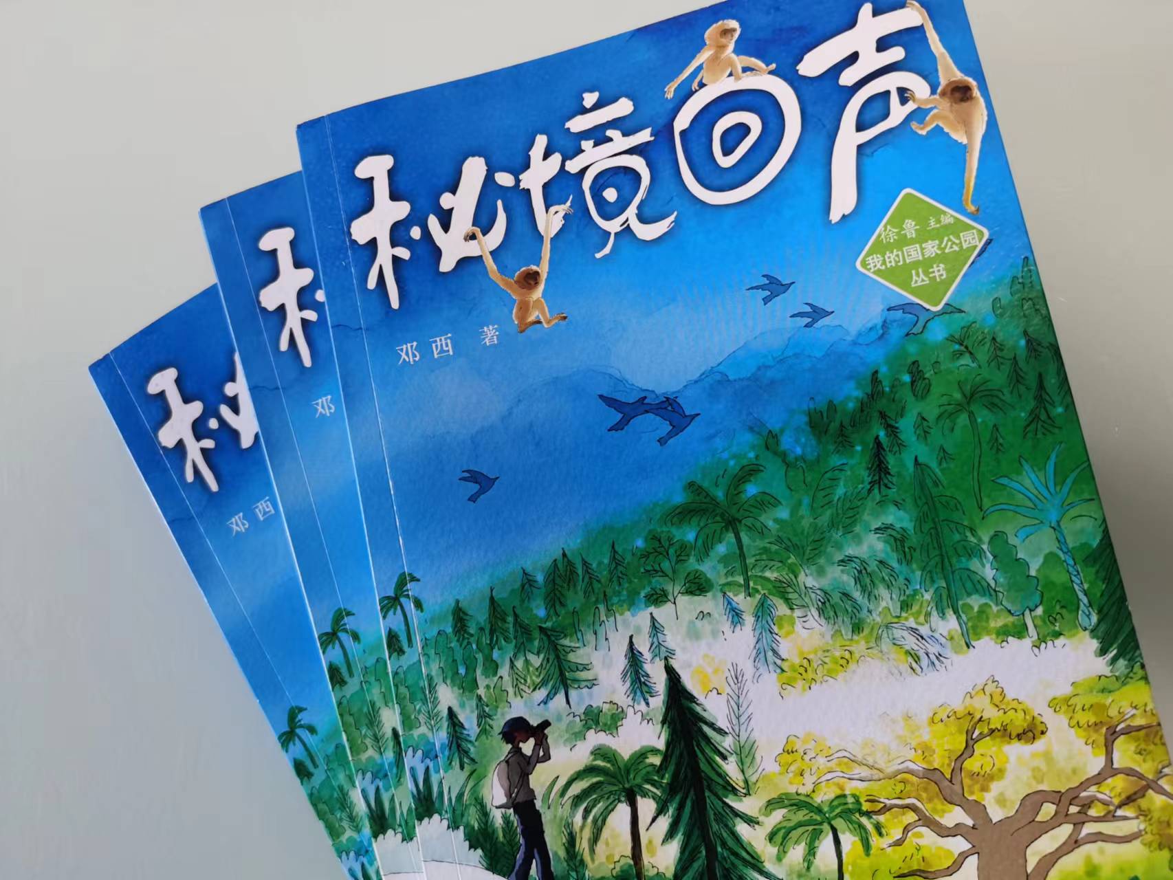 儿童文学《秘境回声》